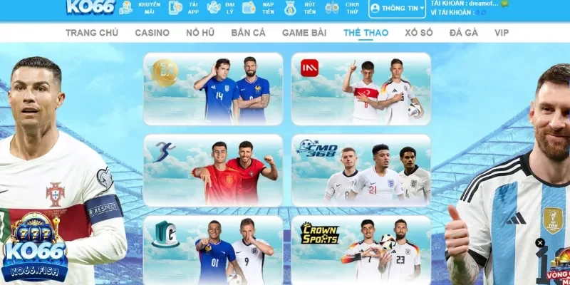 KO66 – sân cược thể thao uy tín của thị trường